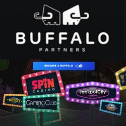 Buffalo Partners - Most Profitable Affiliate Program